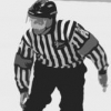 hockeyzebra